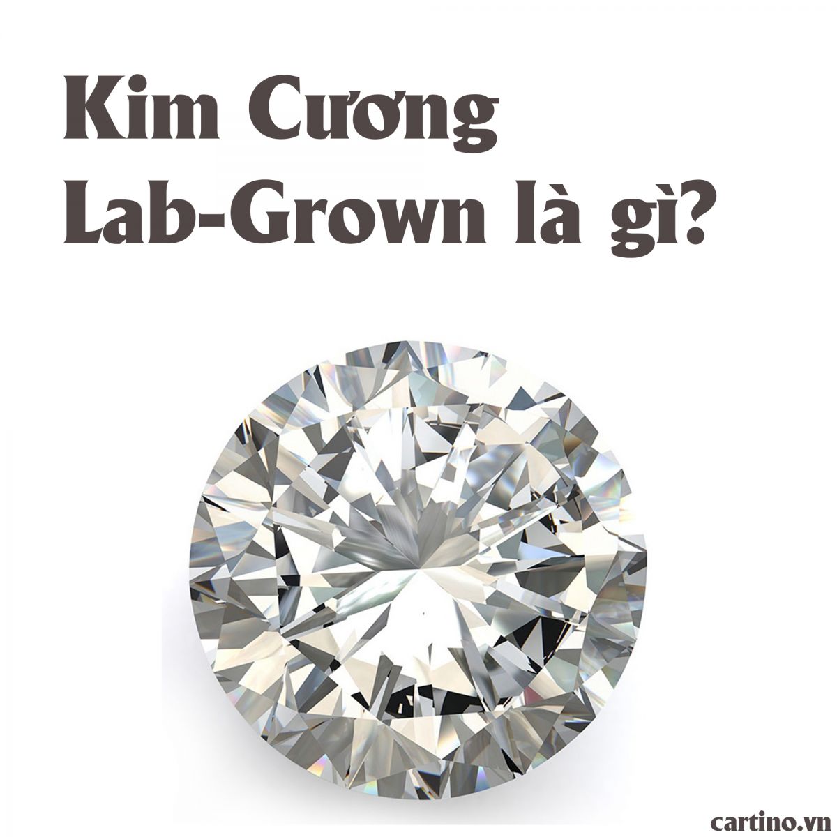 Kim Cương Lab Grown (Kim Cương Nuôi Cấy) Là Gì?